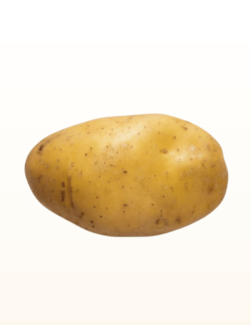 Pomme de terre Agatha EXTRA